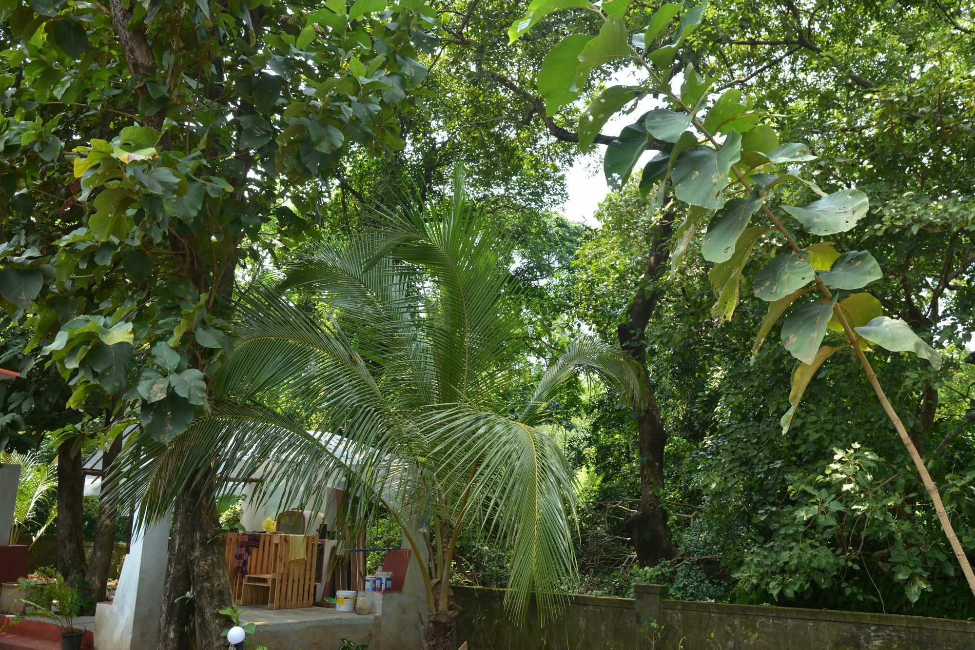 Folklore Hostel Goa Vagator Exteriér fotografie